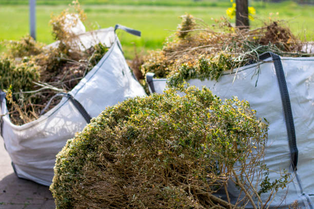 Best Commercial Cleanout Services  in Chester, PA